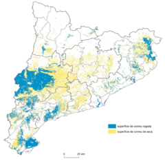 Captura de pantalla (75).png