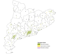 Captura de pantalla 2023-11-21 095057.png