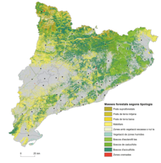 Captura de pantalla 2023-11-21 113749.png