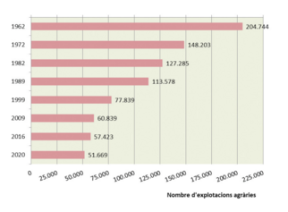 Captura de pantalla (80).png