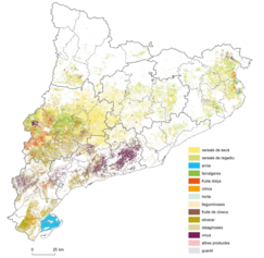 Captura de pantalla (74).png