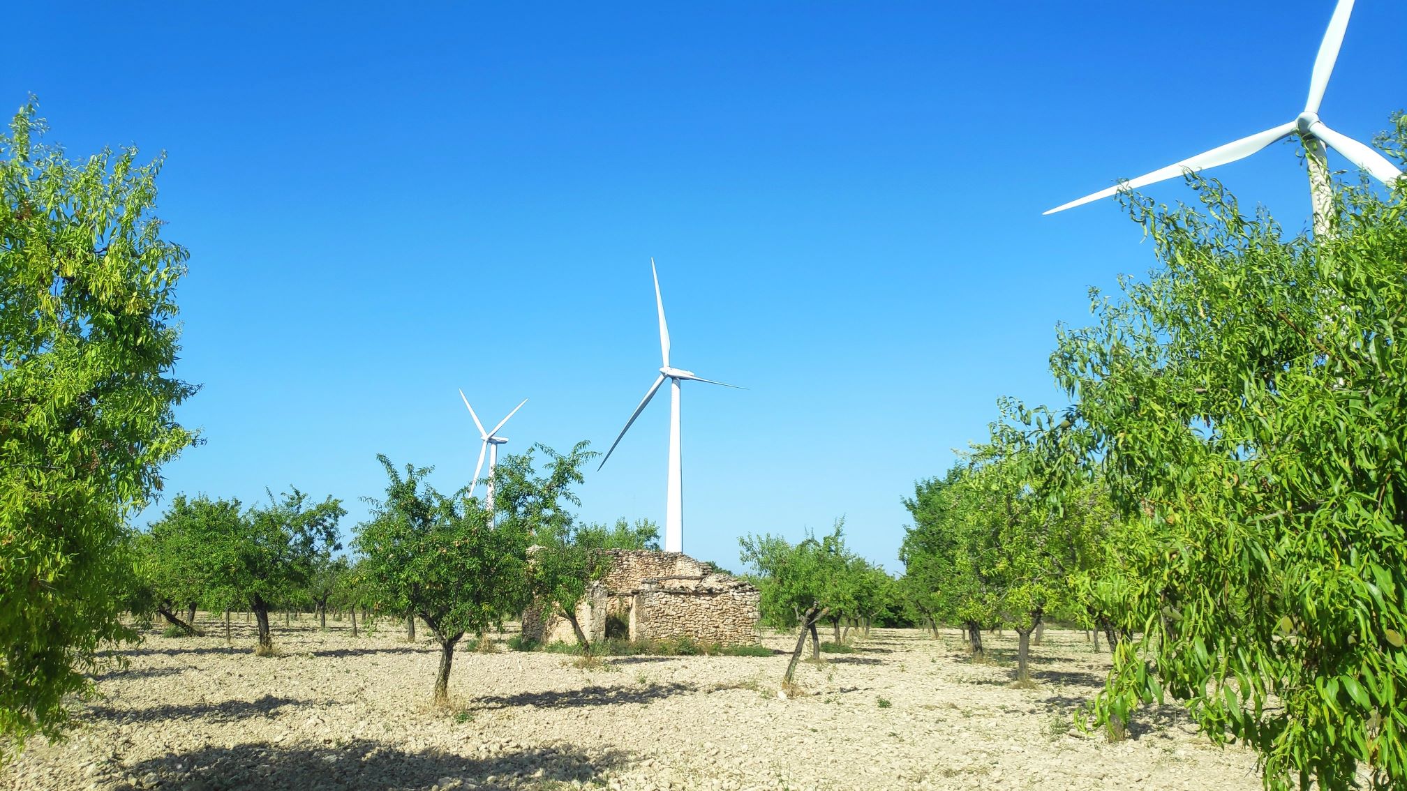 Imagen para los medios: Reto 2: Transición ecológica