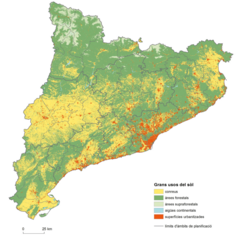 Captura de pantalla (37).png