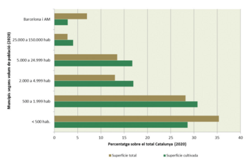 Captura de pantalla (67).png