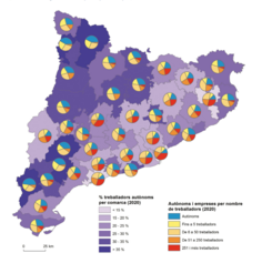 Mapa 3.10. Una ruralitat de treballadors autònoms i petites empreses
