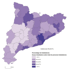 Mapa 3.8. Un marge per a la feminització de l’ocupació